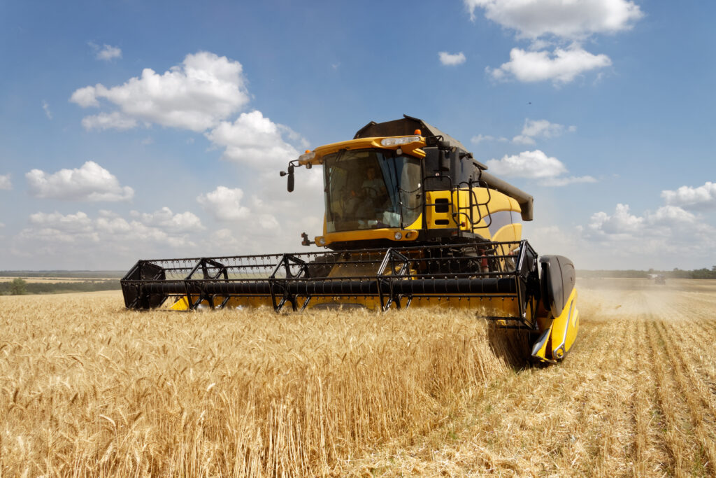 Combine harvester harvesting wheat